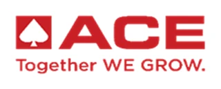 ACE (Action Construction Equipment)